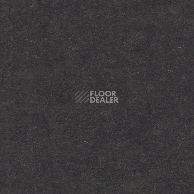 Линолеум Marmorette DLW 2.5mm 0096 Midnight Grey фото 1 | FLOORDEALER