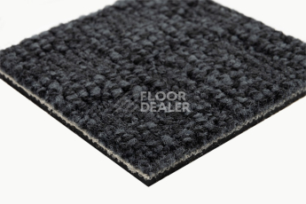 IVC Animate 569 фото 4 | FLOORDEALER