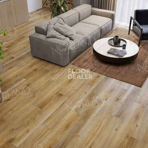Norland Elegant 8мм Дуб Крете LF301-11 фото 2 | FLOORDEALER