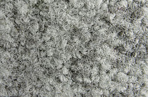 Ковровая плитка ColorKey ColorKey a 04 фото 1 | FLOORDEALER