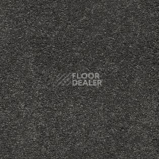 Ковролин AW VivendiI Aaura 95 фото 1 | FLOORDEALER