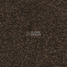 Ковровая плитка Forbo Sharepoint 1157 фото 1 | FLOORDEALER