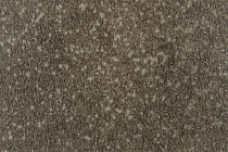 Forbo SureStep Stone 17342 loam speckled фото 3 | FLOORDEALER