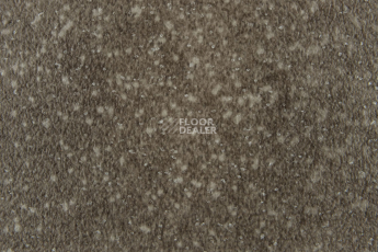 Forbo SureStep Stone 17342 loam speckled фото 3 | FLOORDEALER