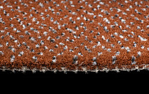 AW Magma 84 фото 5 | FLOORDEALER