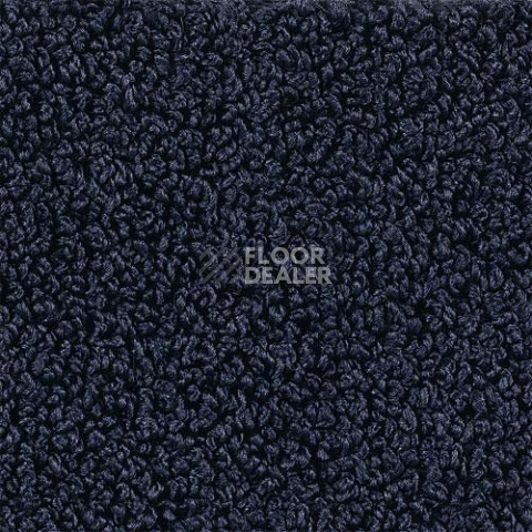 Ковролин Desso Alumina 8801 фото 1 | FLOORDEALER
