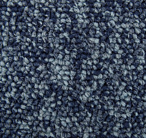 Standard Carpets Spectrum sm 555 фото 2 | FLOORDEALER