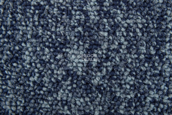 Standard Carpets Spectrum sm 555 фото 2 | FLOORDEALER