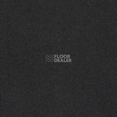 Ковровая плитка Interface Palette 2000 Jet фото 1 | FLOORDEALER