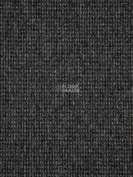 Ковролин Condor Dynamic 79 фото 1 | FLOORDEALER