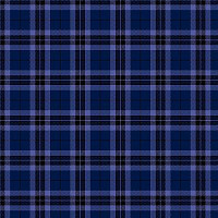Ковролин Agnella Impulse Tartan Navy фото 1 | FLOORDEALER