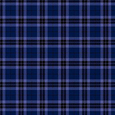 Agnella Impulse Tartan Navy фото 1 | FLOORDEALER