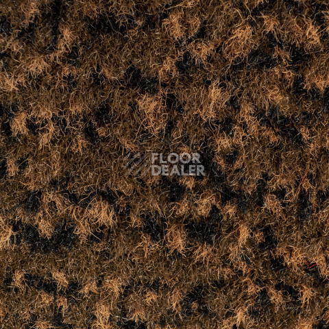 Forbo Coral Classic 4726 Auburn фото 3 | FLOORDEALER