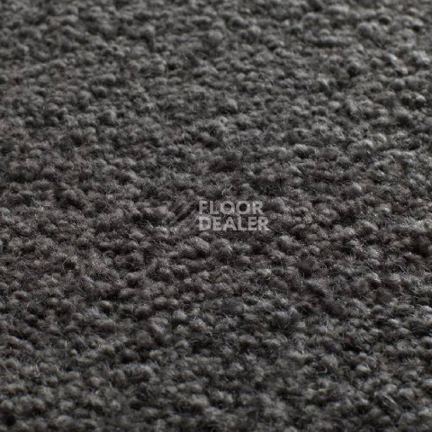Ковролин Jacaranda Carpets Tapanui Midnight фото 1 | FLOORDEALER