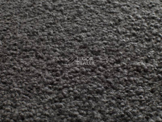 Ковролин Jacaranda Carpets Tapanui Midnight фото 1 | FLOORDEALER