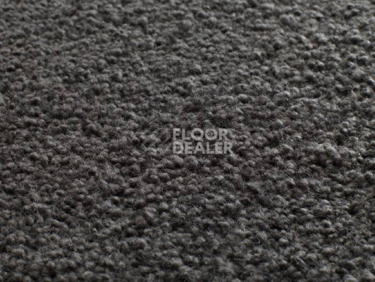 Ковролин Jacaranda Carpets Tapanui Midnight фото 1 | FLOORDEALER