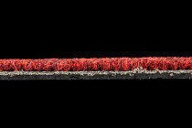 Escom Object 64080 фото 3 | FLOORDEALER