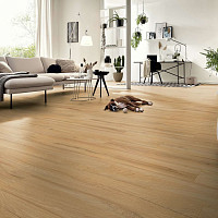 Kronotex Exquisit 8мм d80062 Дуб Фермерский фото 3 | FLOORDEALER