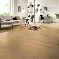 Kronotex Exquisit 8мм d80062 Дуб Фермерский фото 3 | FLOORDEALER
