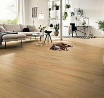 Kronotex Exquisit 8мм d80062 Дуб Фермерский фото 3 | FLOORDEALER