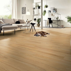 Kronotex Exquisit 8мм d80062 Дуб Фермерский фото 3 | FLOORDEALER