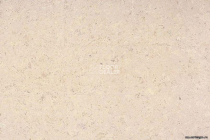 Corkwise MADEIRA WHITE фото 4 | FLOORDEALER