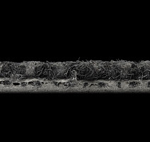 Galaxy F 003 фото 5 | FLOORDEALER