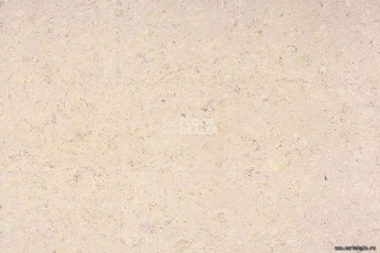 Corkwise MADEIRA WHITE фото 4 | FLOORDEALER
