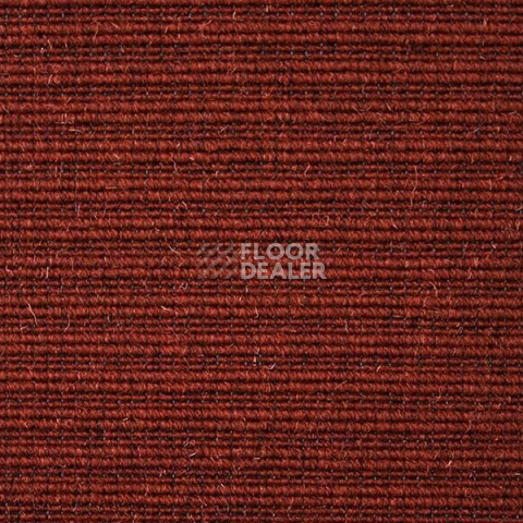 Ковролин Carpet Concept Eco Wool 596024 фото 1 | FLOORDEALER