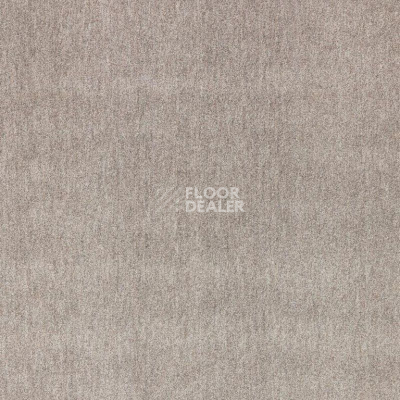 Ковролин Balta Velvet 71351-076 фото 1 | FLOORDEALER