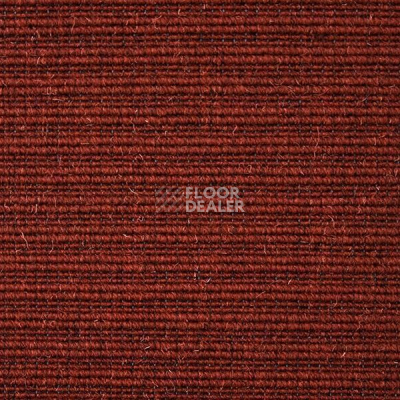 Ковролин Carpet Concept Eco Wool 596024 фото 1 | FLOORDEALER