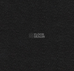 Линолеум Forbo Marmoleum Solid Walton 3323 black фото 1 | FLOORDEALER