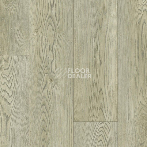 Линолеум Tarkett Bonus Nero 2 фото 1 | FLOORDEALER