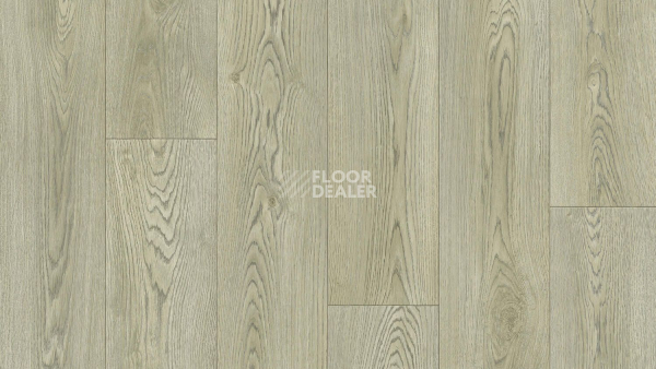 Линолеум Tarkett Bonus Nero 2 фото 1 | FLOORDEALER