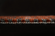 AW Marvel 89 фото 3 | FLOORDEALER