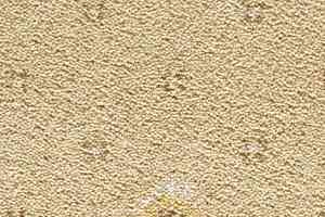 Ковролин Condor Carpets Australia 509 фото  | FLOORDEALER