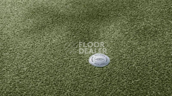 Ковролин Vorwerk Superior 1064/Lyrica Vorwerk 4g76 фото 1 | FLOORDEALER