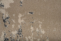 Innova Мираж q 500 01 фото 2 | FLOORDEALER