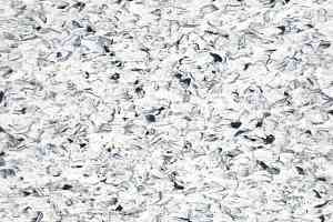 Линолеум Grabo Fortis Conducto S Coast фото  | FLOORDEALER