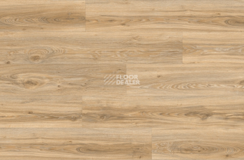 Roots 0.55 дерево (1320*196) BLACKJACK OAK 22220Q фото 4 | FLOORDEALER