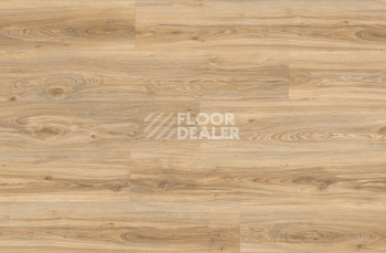Moduleo Roots 0.55 дерево (1320*196) BLACKJACK OAK 22220Q фото 4 | FLOORDEALER