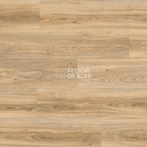 Moduleo Roots 0.55 дерево (1320*196) BLACKJACK OAK 22220Q фото 4 | FLOORDEALER