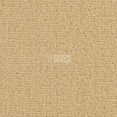Ковролин Balsan Residentiel 668 фото 1 | FLOORDEALER
