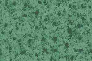 Линолеум Novoflor Extra Super 2120-44 фото  | FLOORDEALER