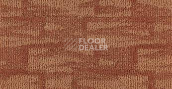 Ковролин Sintelon Planet 21862 фото 1 | FLOORDEALER