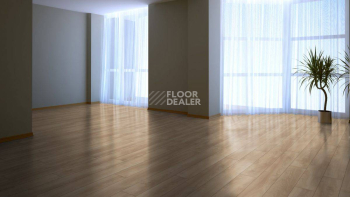 My Floor Residence 10мм ML1012 Дуб Макро Светлый фото 9 | FLOORDEALER
