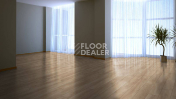 My Floor Residence 10мм ML1012 Дуб Макро Светлый фото 9 | FLOORDEALER