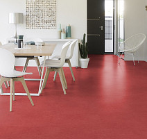 Taralay Initial Compact (Plain & allover look) 0951 Miami Litchee фото 2 | FLOORDEALER