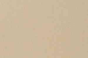 Ковролин Vorwerk Passion 1021 Vorwerk 8j24 фото  | FLOORDEALER