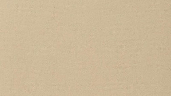 Ковролин Vorwerk Passion 1021 Vorwerk 8j24 фото 1 | FLOORDEALER